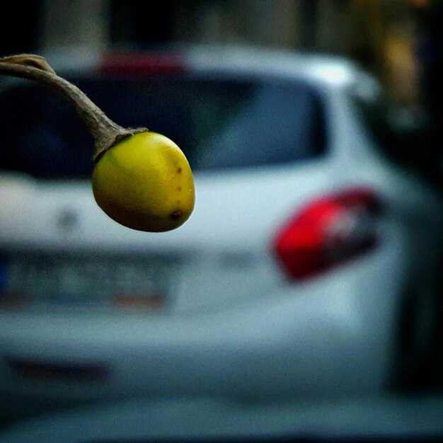 Покупка поддержанного автомобиля Черри: на что обратить внимание