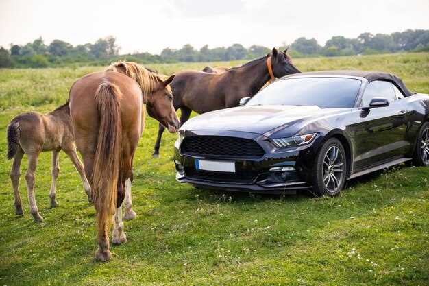 Сравнение Ford Mustang с конкурентами на рынке