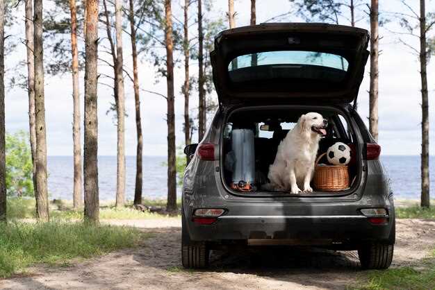Сравнение с конкурентами: что предлагает Renault Espace на рынке