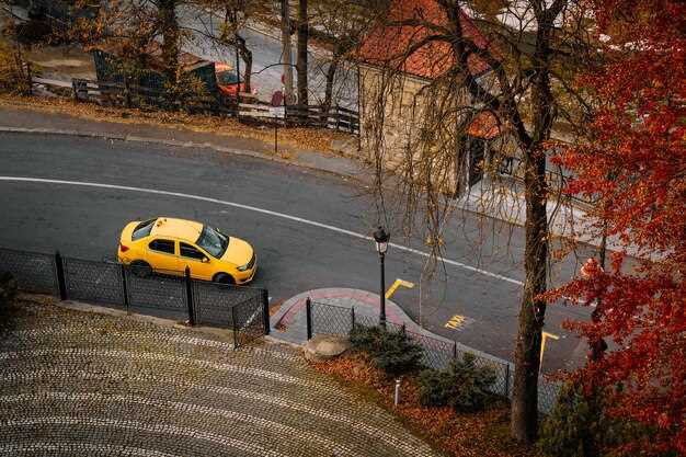 Реакция поклонников марки на Audi RS1