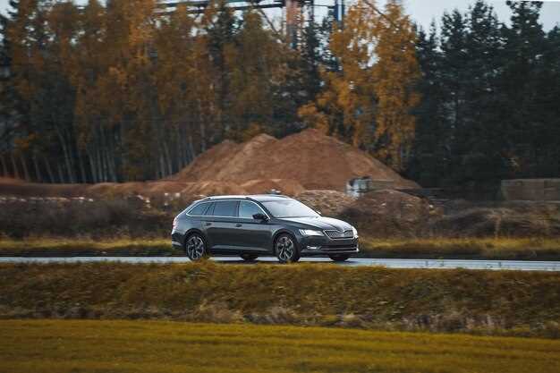 Заключение: будущее Skoda Kodiaq