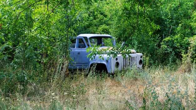 История бренда Changan в Южной Америке