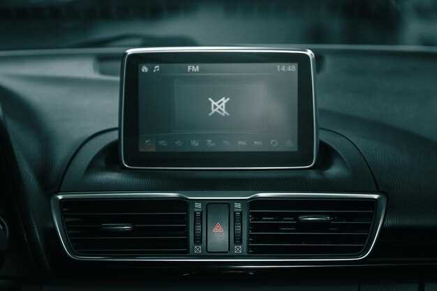 Установка и настройка системы RNS 510