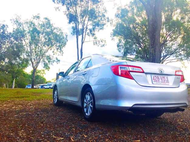 Проблемы и недостатки: На что стоит обратить внимание?
