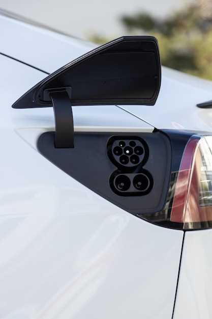 Технические особенности Venucia D60 EV