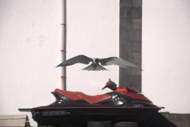 Ключевые модели суперкаров Falcon