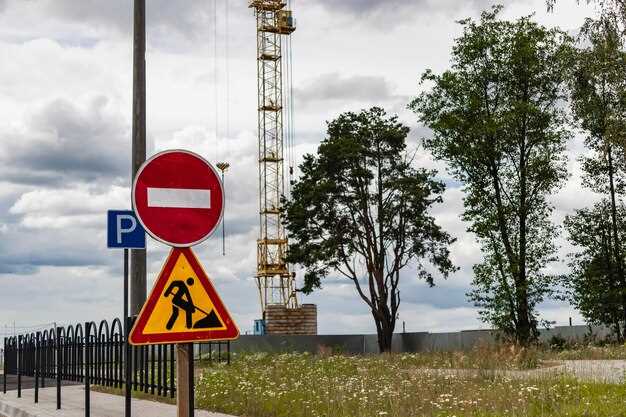 Перспективы внедрения беспилотников в городскую инфраструктуру