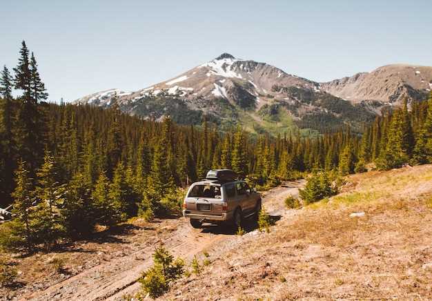 Сравнение Renault Duster с конкурентами на рынке
