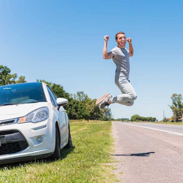 История модели Clio RS